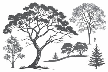 Obraz premium Top View Trees and Bushes – Landscape Architecture Elements Set