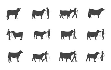 Show Heifer Svg, Show Heifer Silhouette, Livestock Svg, Show Cattle Svg, Show Cow Svg, Show Heifer Vector. 