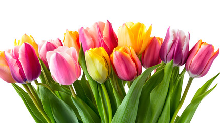 Obraz premium Vibrant Tulip Bouquet on White Background for Elegant Floral Designs