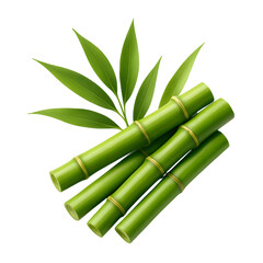 Fototapeta premium Green bamboo stalks and leaves isolated on black background a natural image
