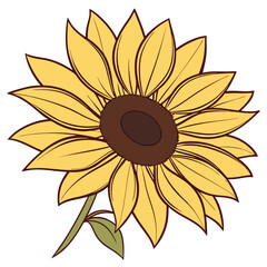 Sunflower bloom illustration on beige background