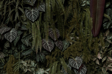Mixed leaves, green leaves, abstract texture, tropical leaves, natural dark green background.