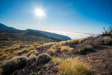 Fototapeta premium Beautiful landscapes in Teide national park in Tenerife