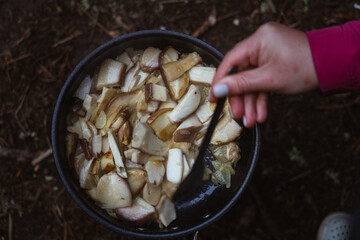 Cooking fresh mushrooms in a pot over an open fire during a camping trip in the woods. Hiking in Carpathian Mountains, Ukraine
