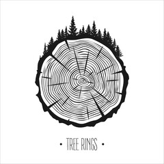 Round tree trunk cut with trees and forest. Sawn pine or oak slice, lumber. Saw cut timber, wood. Brown wooden texture with tree rings. Hand drawn sketch. Vector illustration