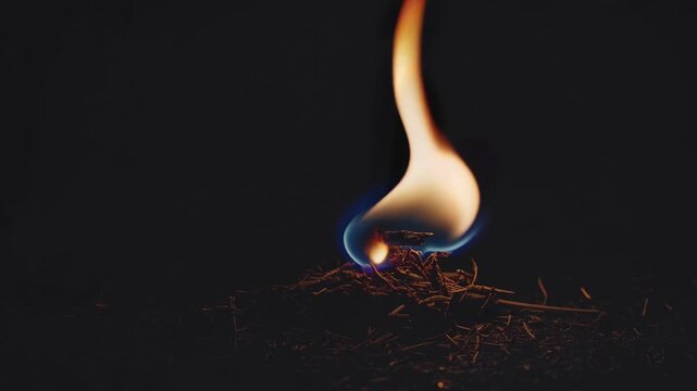 Single flame igniting dry twigs against black background  