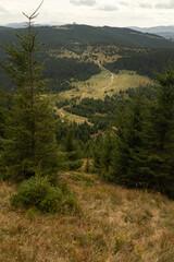 Expansive mountain landscape with rolling hills and dense forests under a cloudy sky. Carpathian Mountains, Ukraine