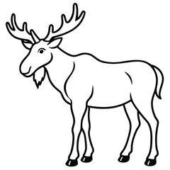 Obraz premium Majestic Moose in Line Art: A regal moose, rendered in elegant line art, stands proudly, its impressive antlers a testament to its wild majesty.