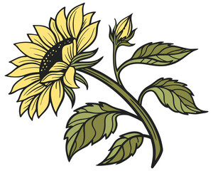 A vibrant sunflower with leaves and bud silhouette