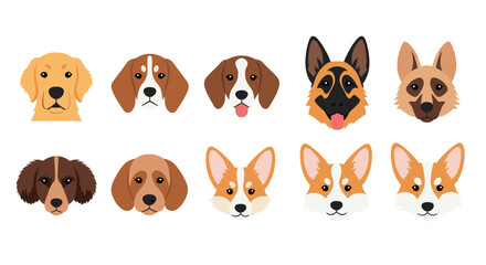 Collection of diverse dog breed heads showing different emotions and expressions
