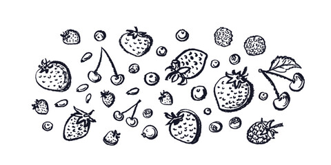 Crayon berries set. Vector hand drawn chalk sign