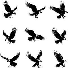 Obraz premium Wildlife Silhouettes: Cats & Eagles