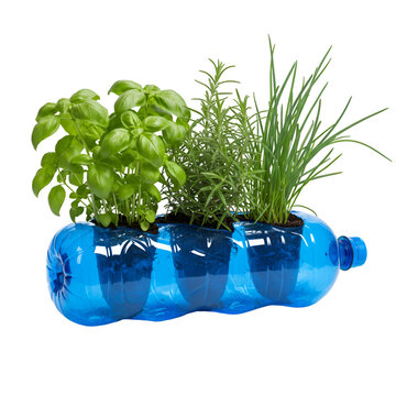 3D Illustration: Recycled Bottle Planter With Herbs