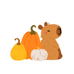 Cute Halloween capybara clipart set. cartoon witch capybara with hat, pumpkin costume, candle. Sleeping big and small funny kawaii animal vector illustration