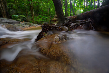 Long exposure cascading waterfall in the jungle