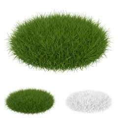 3D Illustration of Realistic Round Green Grass Isolated on Transparent Background