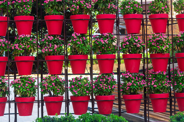Pots of flowers in Santo Domingo Square. Murcia, Spain. Europe.
