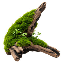 3D Illustration of Moss Covered Driftwood on Transparent Background