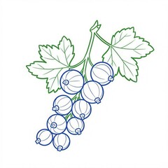 berries currant outline
