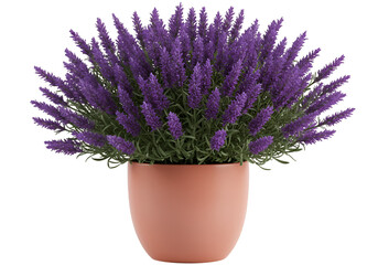 3D Illustration of Lavender Plant in Terracotta Pot
