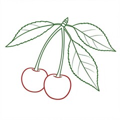 berries cherries outline