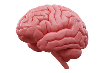3D Illustration of Pink Human Brain on Black Background