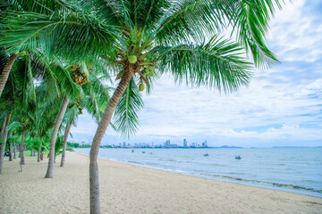 summer at pattaya beach On a hot day and in the shade of the coconut trees.