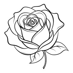 rose vector line art