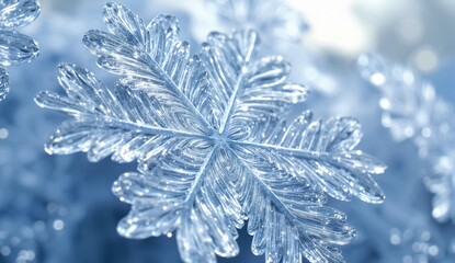 Close-up of a detailed, translucent snowflake with intricate patterns against a soft blue background.