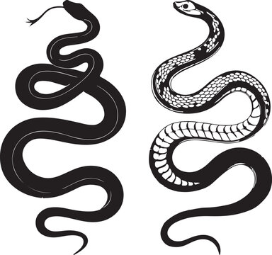 snake vector illustration