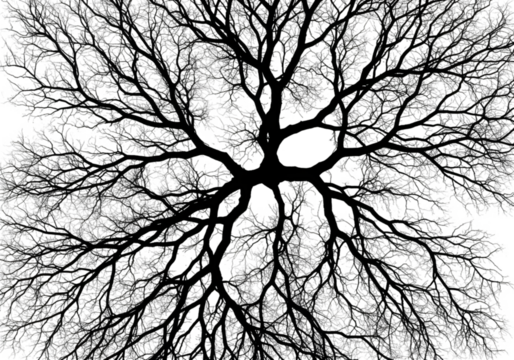 Abstract Illustration of Monochrome Tree Branches on Transparent Background