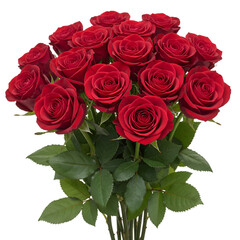 Bouquet of Red Roses Isolated on Black Background