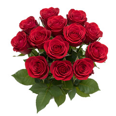 Bouquet of Red Roses Isolated on Transparent Background