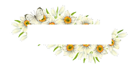 A spring flower frame with a place of white daffodils with an orange center, green leaves and a butterfly. Spring watercolor illustration for postcards, labels, packaging.