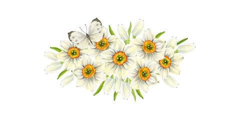 Delicate floral arrangement with white daffodils and a butterfly. A spring botanical illustration painted in watercolor for postcards, holiday packaging, and printing.