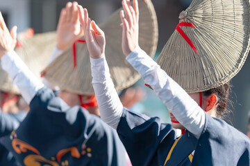 阿波踊り