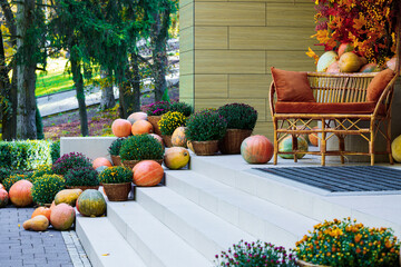 pumpkin decoration restaurant patio space Halloween aesthetic of bright October autumn day park...