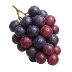 Red and Black Grape Cluster with Water Droplets Isolated on White Background 