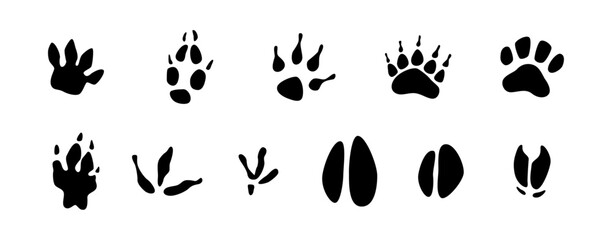 Footsteps of fauna species set. Vector isolated domestic and wildlife animals footprints. Paw prints collection. Cattle tracks. Cow and bear, goat and sheep, avian creatures and deer, fox and wolf