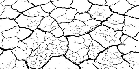 A stark, high-contrast, black and white close-up of severely cracked earth, showing a network of deep fissures and irregular polygons. The texture emphasizes the dryness and desolation of the ground.