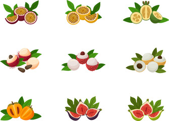 Halves of tropical fruits - flat vector illustrations on white background. Fruit set. 
