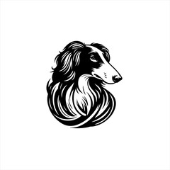 Elegant black and white portrait of a collie dog