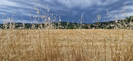 campagna
