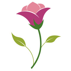 Lisianthus Flower on white background