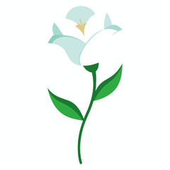 Lisianthus Flower on white background