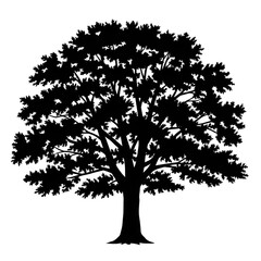 Obraz premium Silhouette of a large oak tree with spreading branches, isolated on white