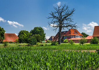 Im Dorf Grabau bei Hitzacker