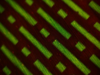 Abstract Diagonal Green Stripes and Squares on Dark Background Texture.