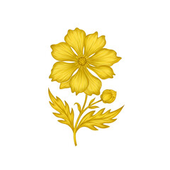 Illustration of Gold Flower on Transparent Background