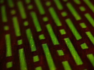 Abstract Green Pattern on Brown Surface with Lines Texture Macro Shot.